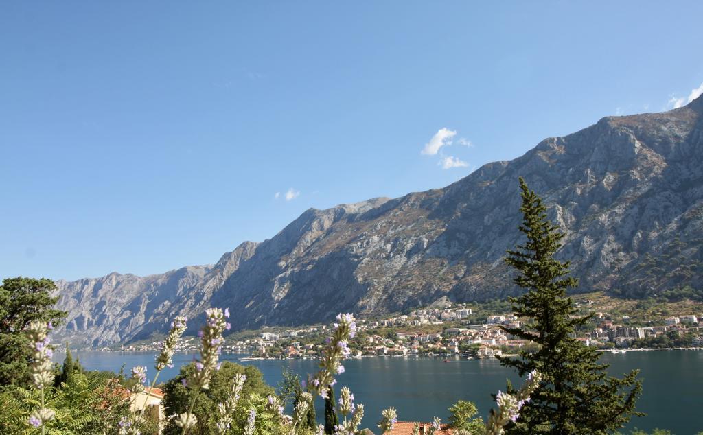 Villa Mima Котор Екстериор снимка